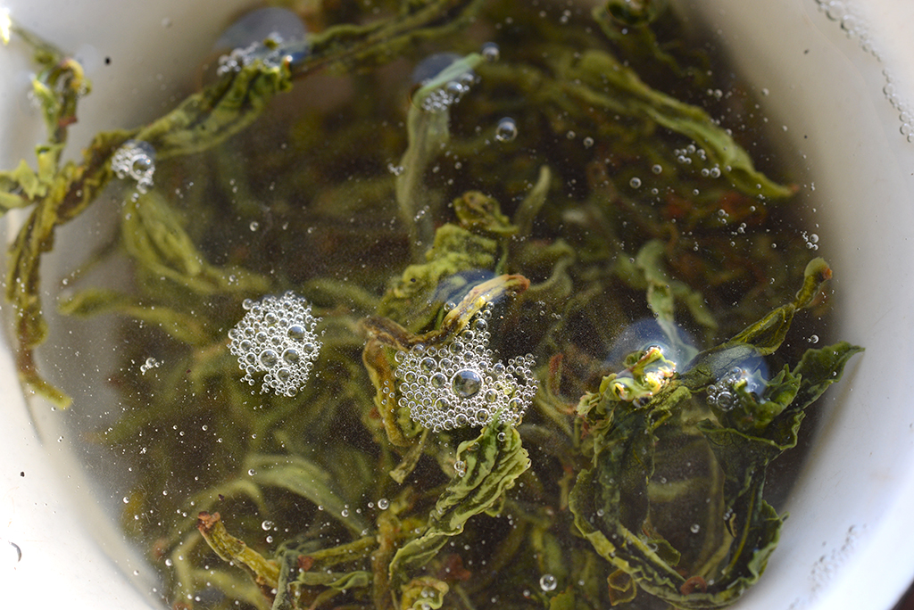Bi Hai Bai Hao kora tavaszi zöld yunnani kínai zöld tea